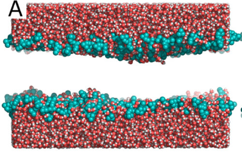Published pore structure A at average xi 0.09