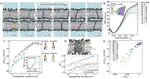 Transmembrane domains of fusion proteins promote stalk formation by inducing membrane disorder