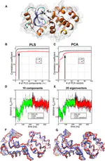 Partial Least-Squares Functional Mode Analysis: Application to the Membrane Proteins AQP1, Aqy1, and CLC-ec1