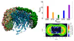 Structural Properties of Protein–Detergent Complexes from SAXS and MD Simulations