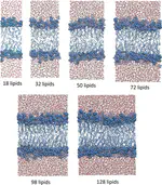 Accelerating potential of mean force calculations for lipid membrane permeation: System size, reaction coordinate, solute-solute distance, and cutoffs