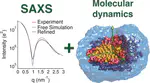 Temperature-Dependent Atomic Models of Detergent Micelles Refined against Small-Angle X-Ray Scattering Data