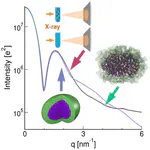Small-Angle X-ray Scattering Curves of Detergent Micelles: Effects of Asymmetry, Shape Fluctuations, Disorder, and Atomic Details