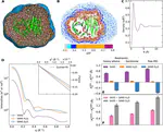 Scrutinizing the protein hydration shell from molecular dynamics simulations against consensus small-angle scattering data