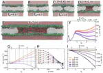 Molecular simulations reveal the free energy landscape and transition state of membrane electroporation