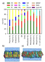 How pore formation in complex biological membranes is governed by lipid composition, mechanics, and lateral sorting