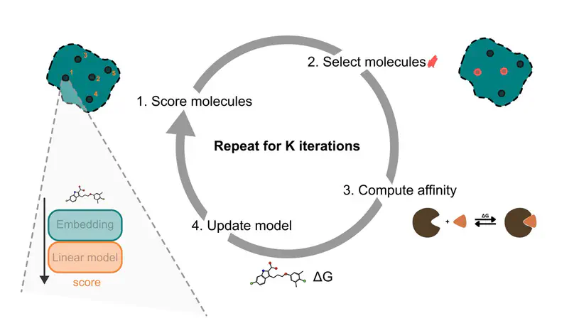 Accelerating ligand discovery by combining Bayesian optimization with MMGBSA-based binding affinity calculations