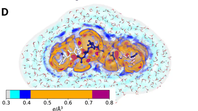 Hydration shells of globular and intrinsically disordered proteins: effects of amino acid composition, peptide conformation, and force fields